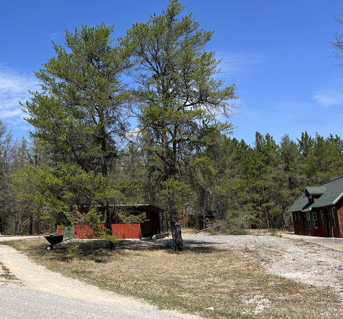 Michigan AuSable Valley Railroad - April 15 2023 Photo (newer photo)